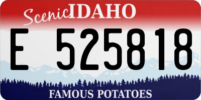 ID license plate E525818