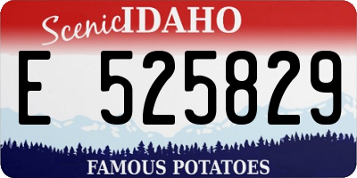 ID license plate E525829