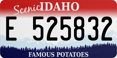 ID license plate E525832