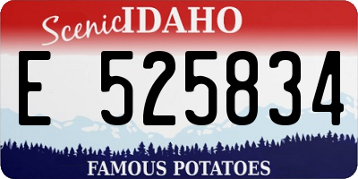 ID license plate E525834