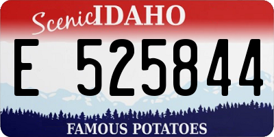 ID license plate E525844