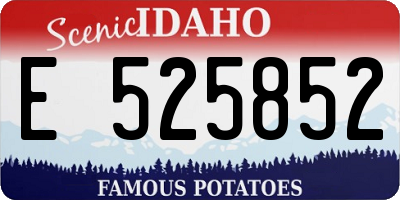 ID license plate E525852