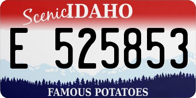 ID license plate E525853