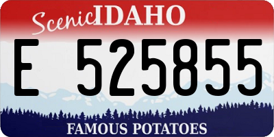 ID license plate E525855