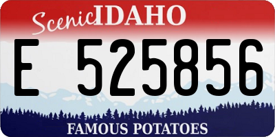 ID license plate E525856