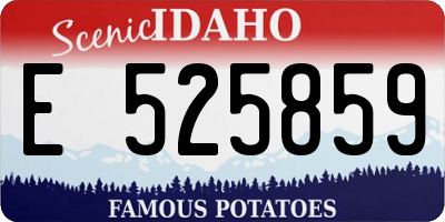ID license plate E525859