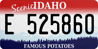 ID license plate E525860