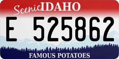 ID license plate E525862