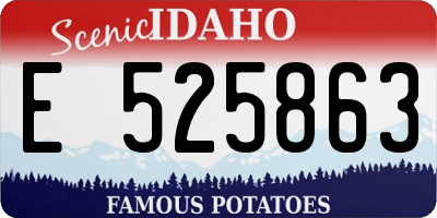 ID license plate E525863