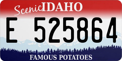 ID license plate E525864