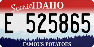 ID license plate E525865