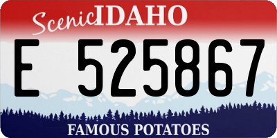ID license plate E525867