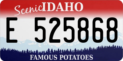 ID license plate E525868