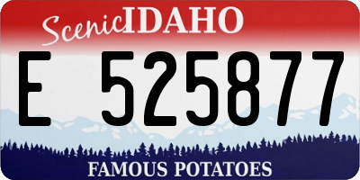ID license plate E525877