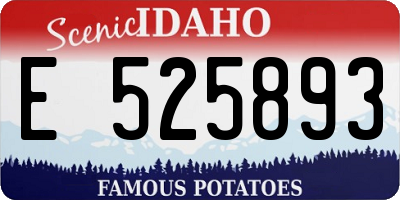 ID license plate E525893