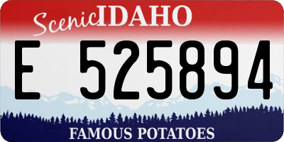 ID license plate E525894