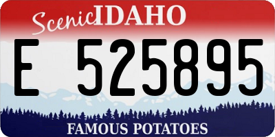 ID license plate E525895