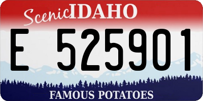 ID license plate E525901