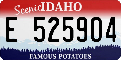 ID license plate E525904
