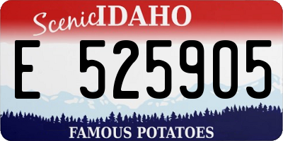 ID license plate E525905