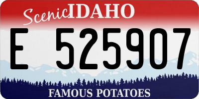 ID license plate E525907