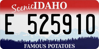 ID license plate E525910