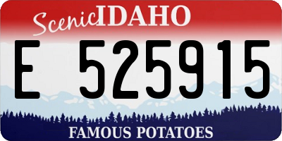 ID license plate E525915
