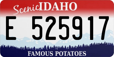 ID license plate E525917