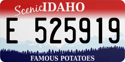 ID license plate E525919