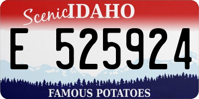 ID license plate E525924