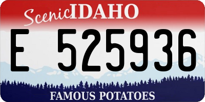 ID license plate E525936