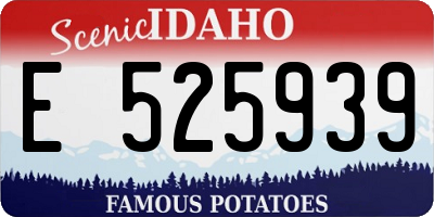 ID license plate E525939