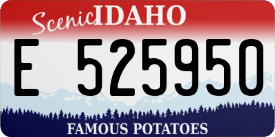 ID license plate E525950