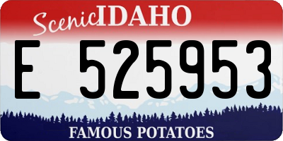 ID license plate E525953