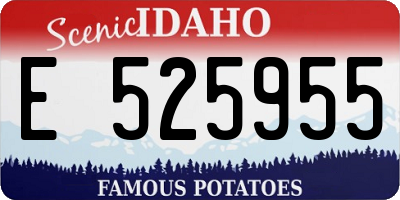 ID license plate E525955