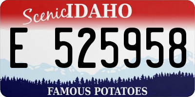 ID license plate E525958