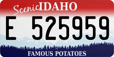 ID license plate E525959