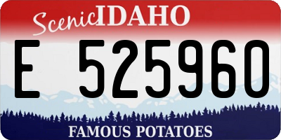 ID license plate E525960