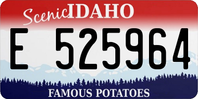 ID license plate E525964