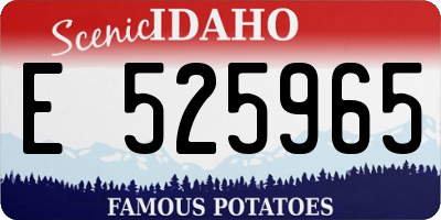 ID license plate E525965