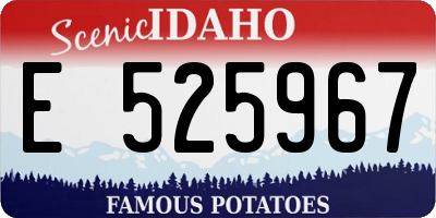 ID license plate E525967