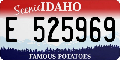 ID license plate E525969