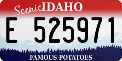 ID license plate E525971