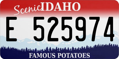 ID license plate E525974