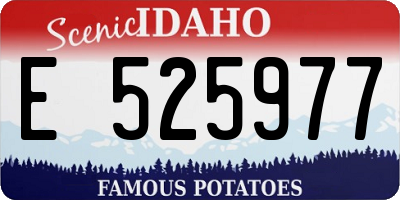 ID license plate E525977