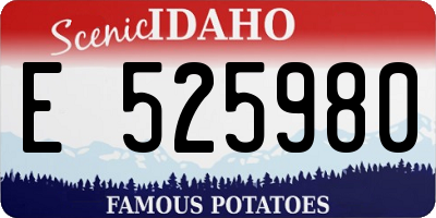 ID license plate E525980