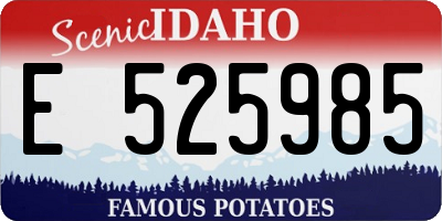 ID license plate E525985