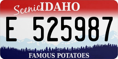 ID license plate E525987