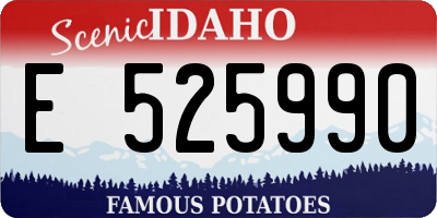 ID license plate E525990