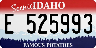 ID license plate E525993